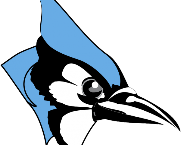 Blue Jay Clipart Johns Hopkins - Hopkins Blue Jay - Png Download (640x480), Png Download