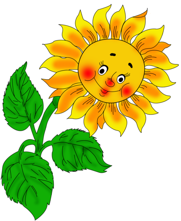 Funny Sunflowers - Portable Network Graphics Clipart (578x711), Png Download
