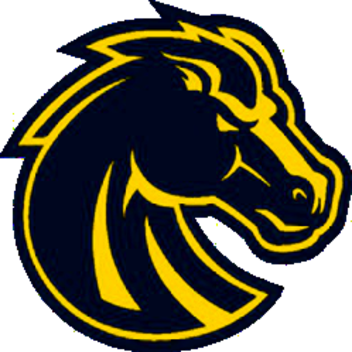 Trojan Clipart Soddy Daisy - Boise State Broncos Black Out 24x18 Football Poster - Png Download (720x720), Png Download