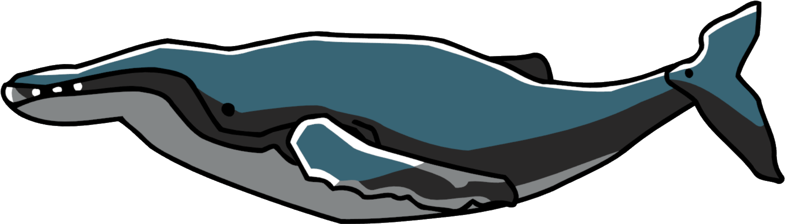 Humpback Whale Clip Art - Png Download (1575x452), Png Download