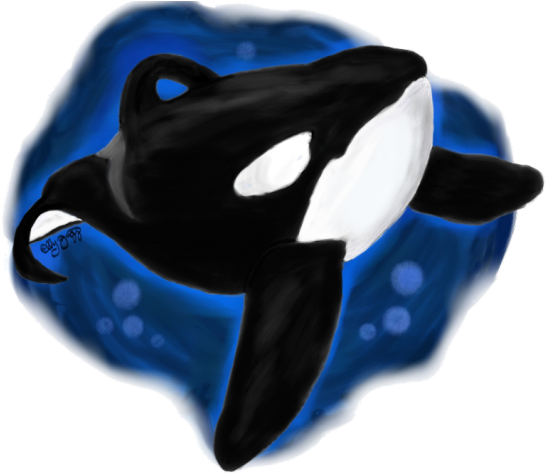 Orca Clipart Shamu - Shamu - Png Download (640x480), Png Download