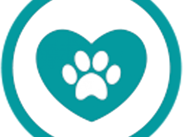 Library Clipart Veterinarian - Camiseta Feminina I Love My Dog - Png Download (640x480), Png Download