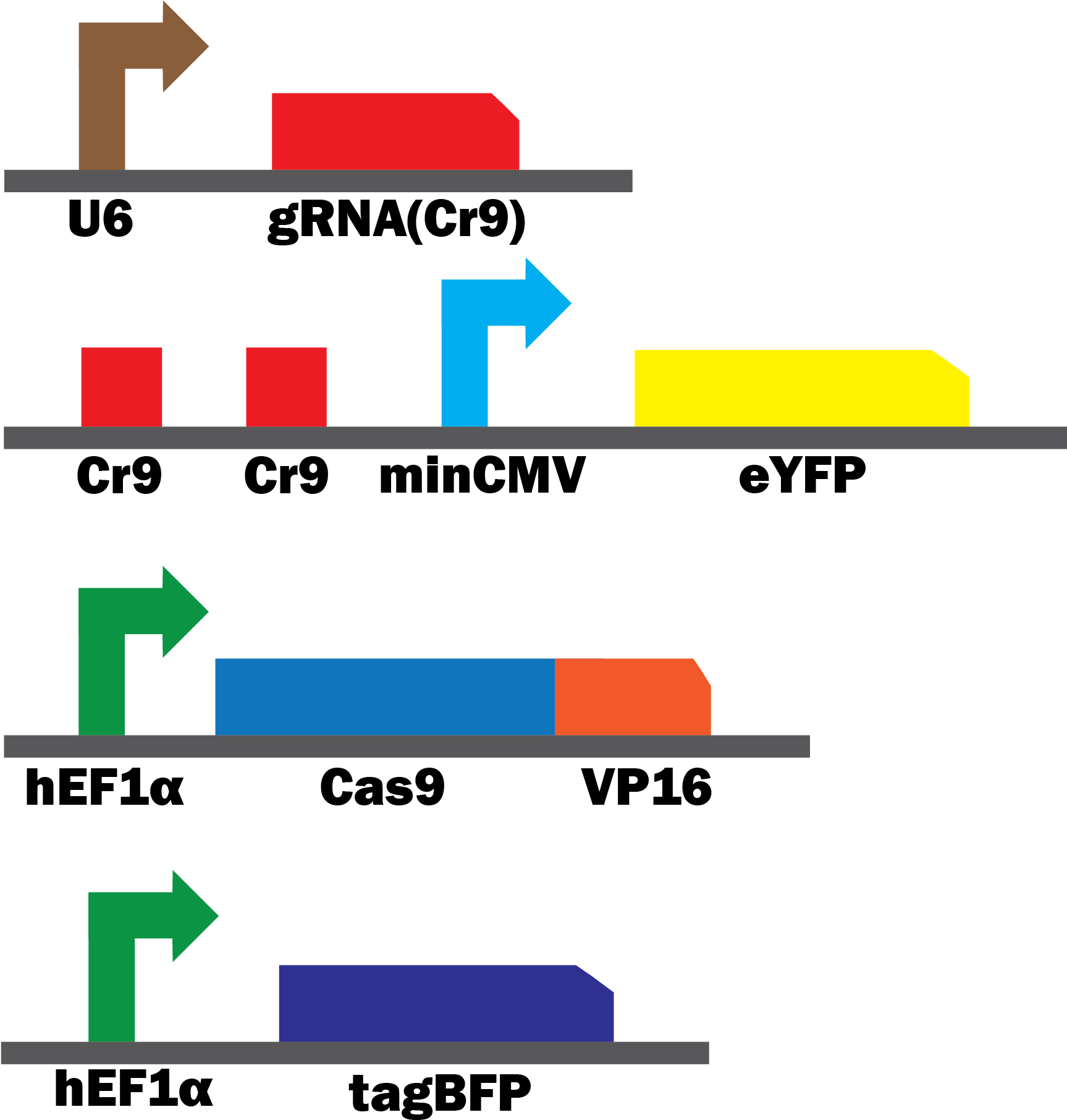 Characterization - Clip Art - Png Download (1819x1823), Png Download