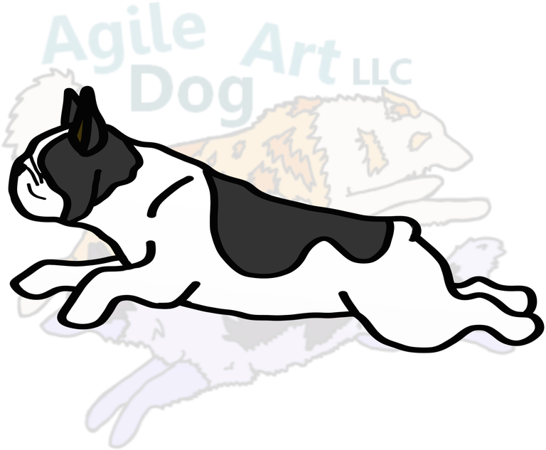 Picture - Illustration Clipart (800x800), Png Download