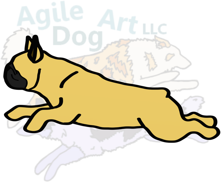 Picture Clipart (800x800), Png Download