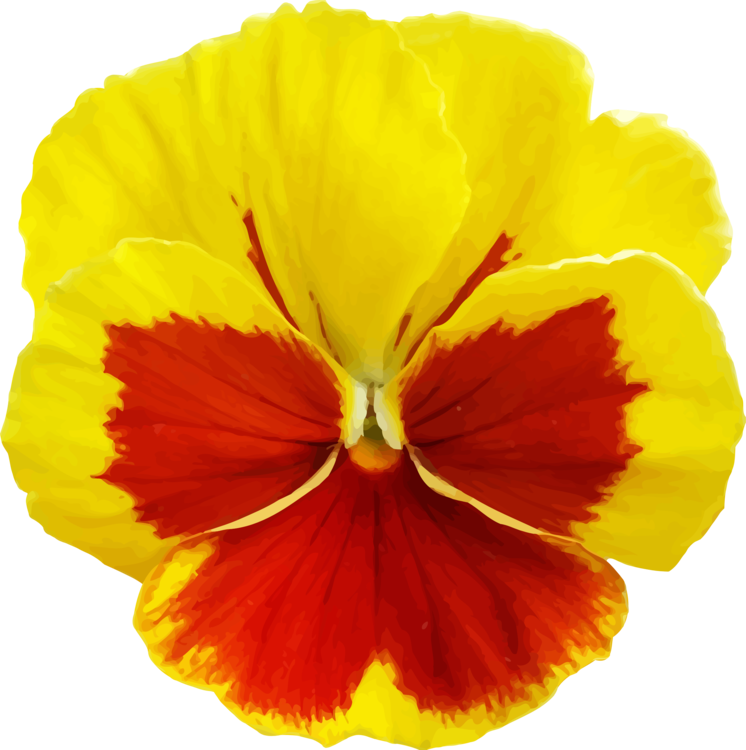All Photo Png Clipart - Yellow Pansy Flower Png Transparent Png (746x750), Png Download