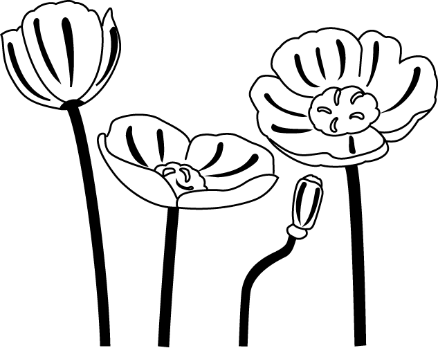 Foresight - Clipart - Poppy Is Clip Art Black And White - Png Download (633x503), Png Download