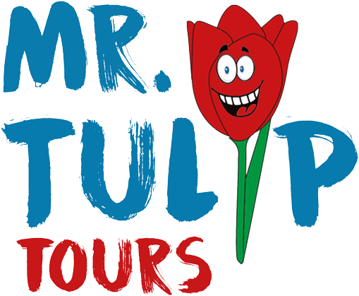 Tulip Tours - Tulip Clipart (620x509), Png Download