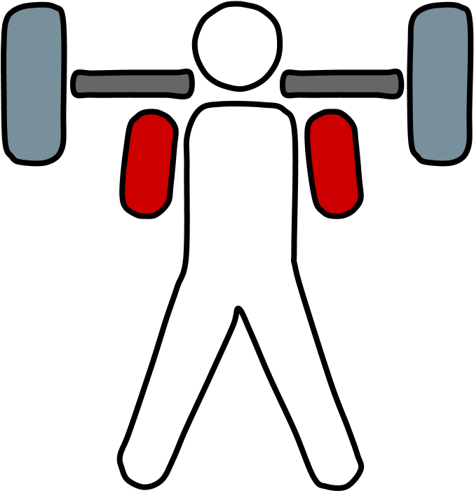 Weightlifter, Barbell - Olympic Weightlifting Clipart (816x1056), Png Download