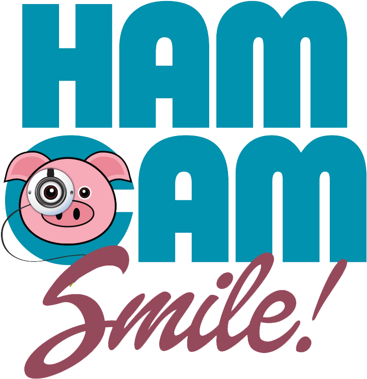 Hamcam - Sticker Clipart (787x800), Png Download
