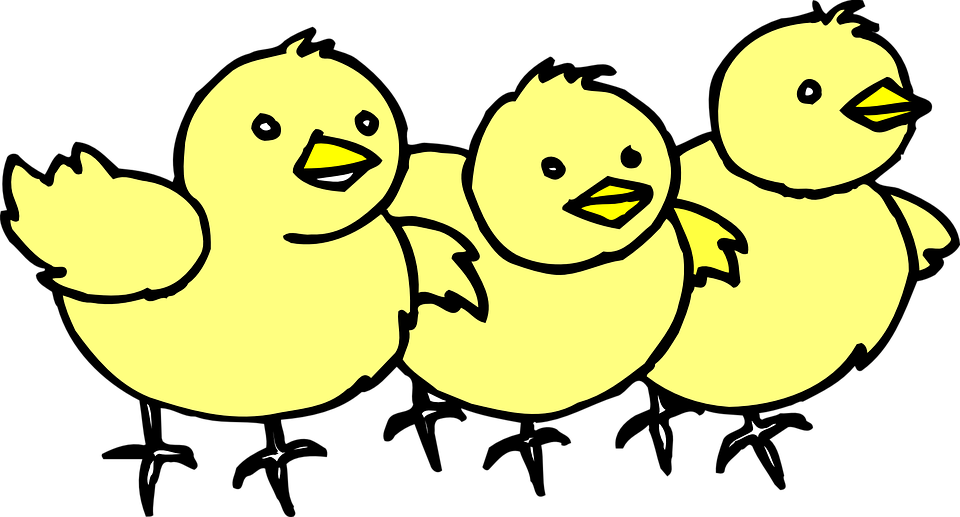 Chick Clipart Lpsk - Chicks Clipart - Png Download (960x517), Png Download