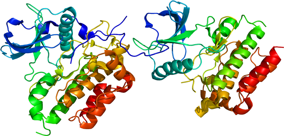 Germs Clipart Bile - Kit Protein - Png Download (1009x511), Png Download