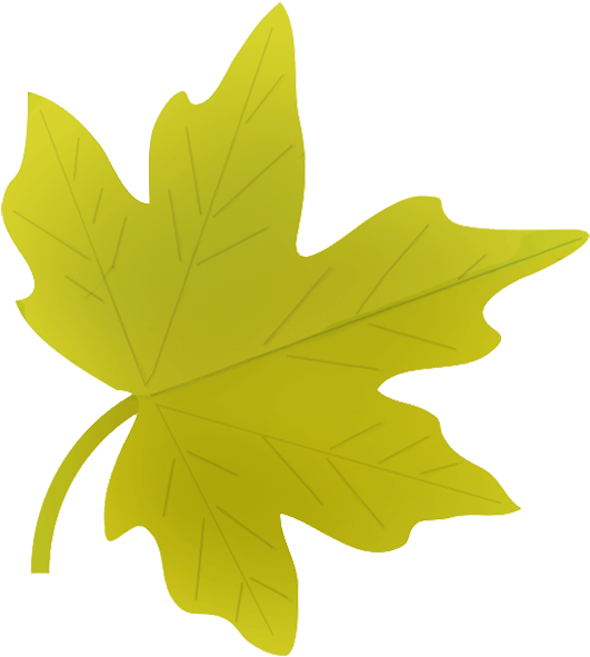 Maple Leaf Clipart - Autumn Leaves Clipart Png Transparent Png (587x620), Png Download