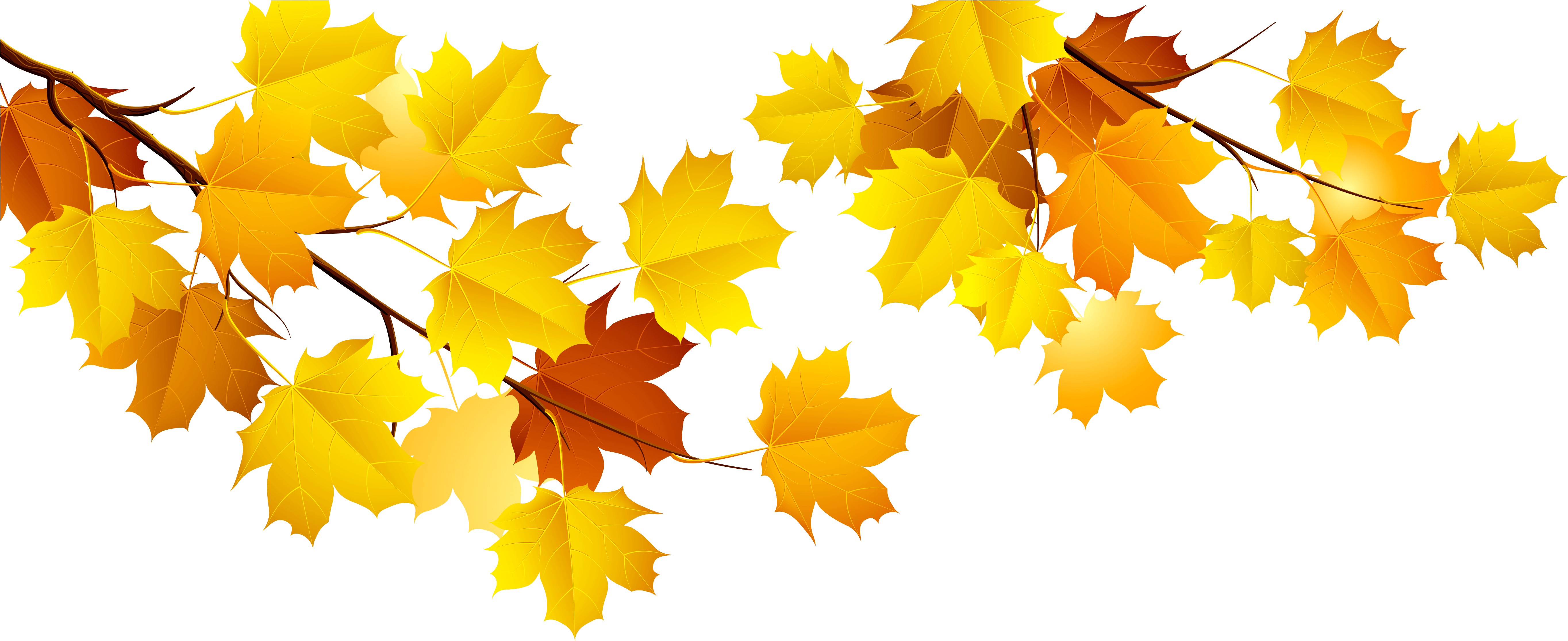 Autumn Png Clipart (5562x2304), Png Download