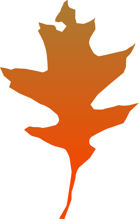 All Photo Png Clipart - Clip Art Transparent Png (476x750), Png Download