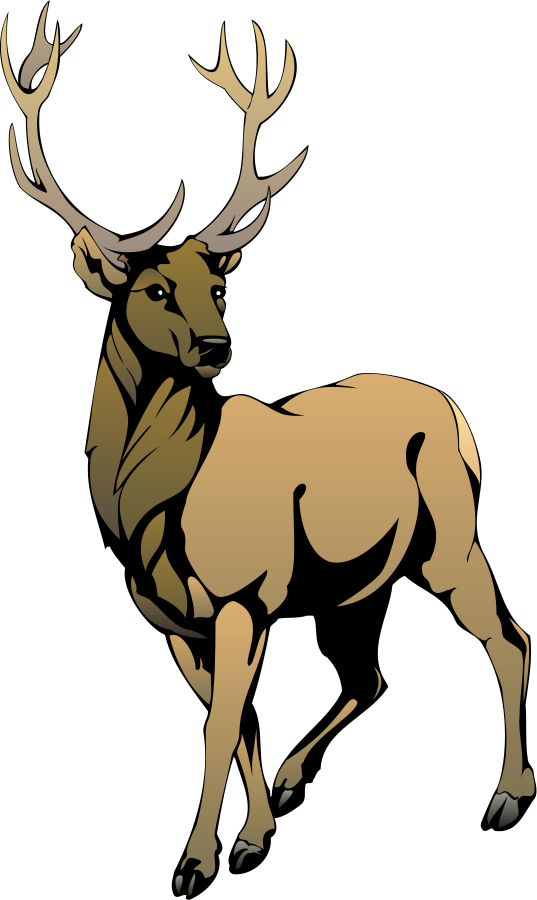 Stag Clipart Clip Art - Stag Images Clip Art - Png Download (478x800), Png Download