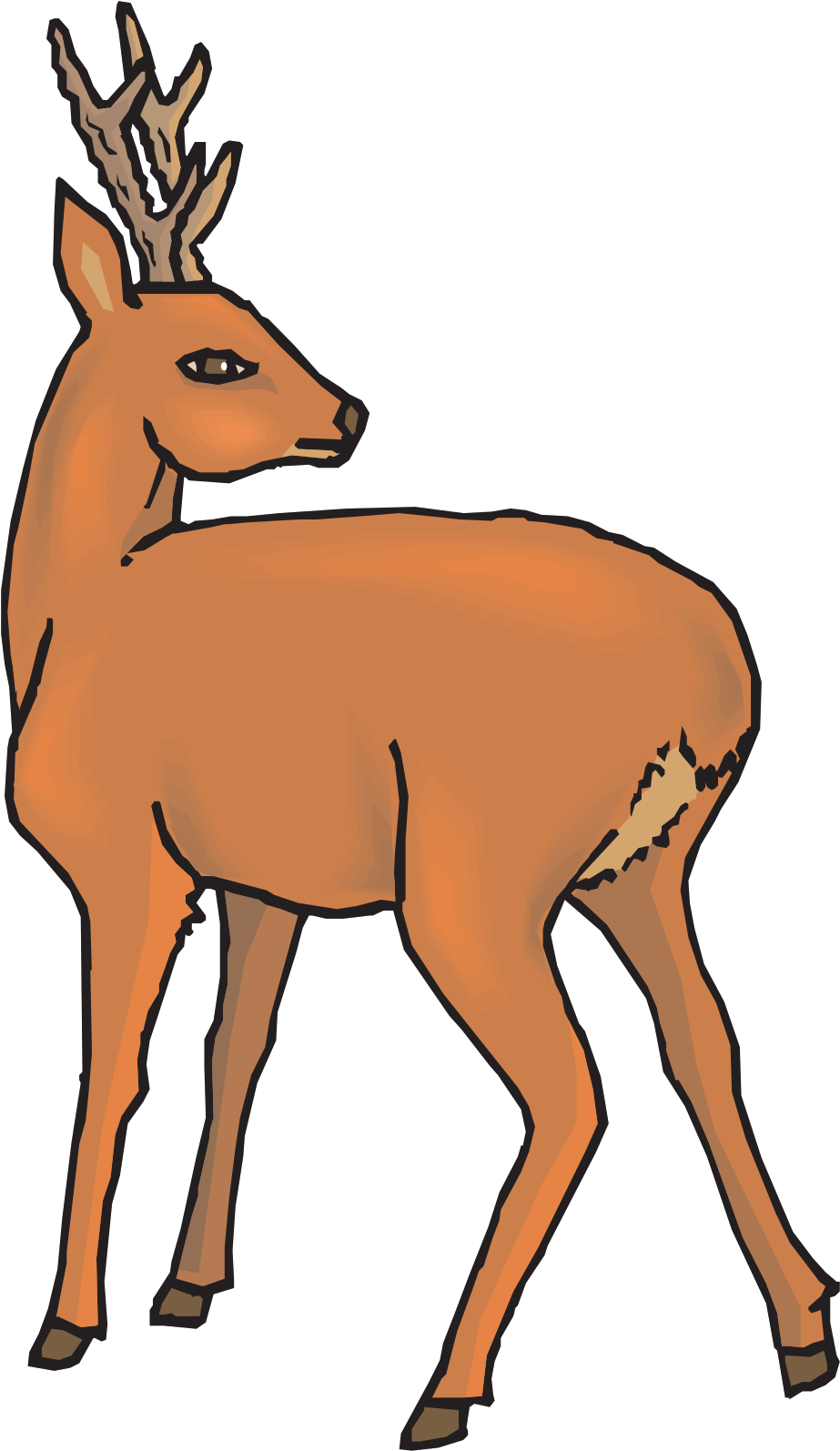 Deer Clip Art - Daini Png Trasparente Transparent Png (500x863), Png Download