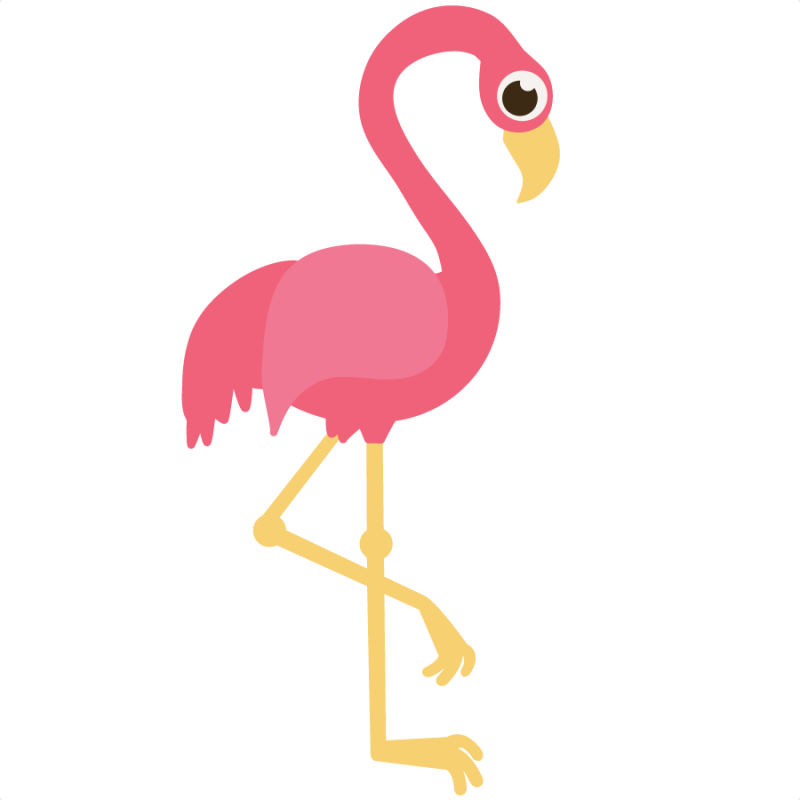 Flamingo Clip Art Free Free Clipart Images - Flamingo Clip Art Png Transparent Png (800x800), Png Download