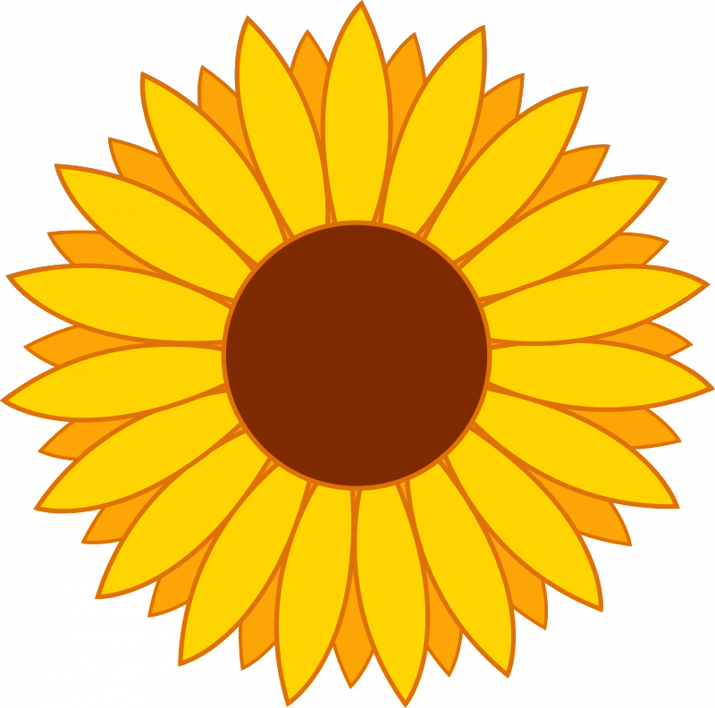 Free Yellow Flower Clipart - Sunflower Clipart - Png Download (800x792), Png Download
