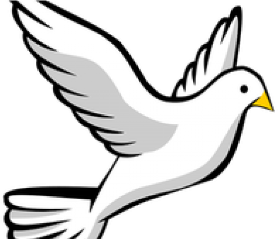 Peace Dove Clipart Catholic - Flying Bird Drawing Easy - Png Download (640x480), Png Download