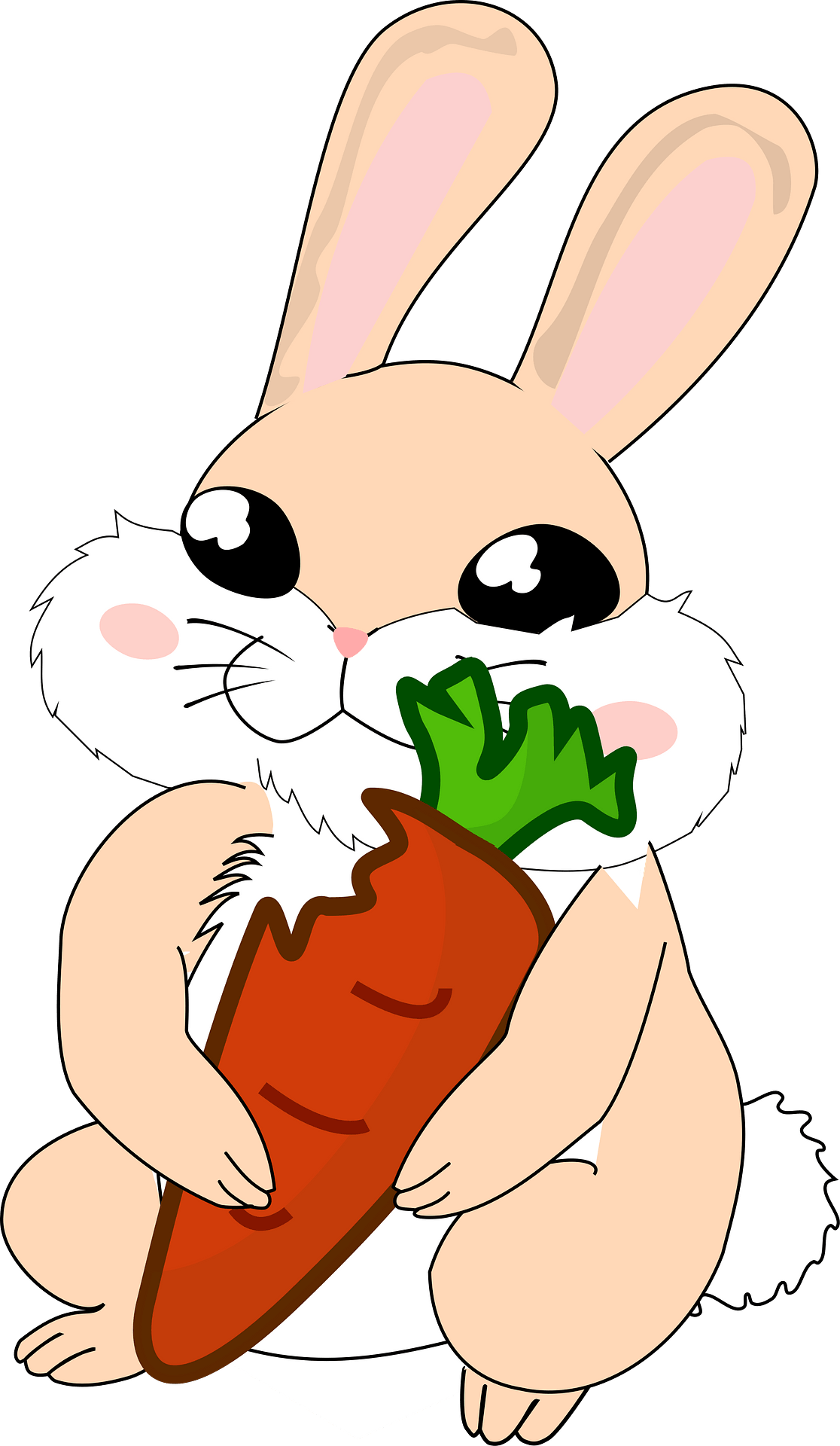 Garden Clipart Bunny - Cute Kawaii Notebook: Happy Bunny,100 Lined Pages For - Png Download (465x800), Png Download