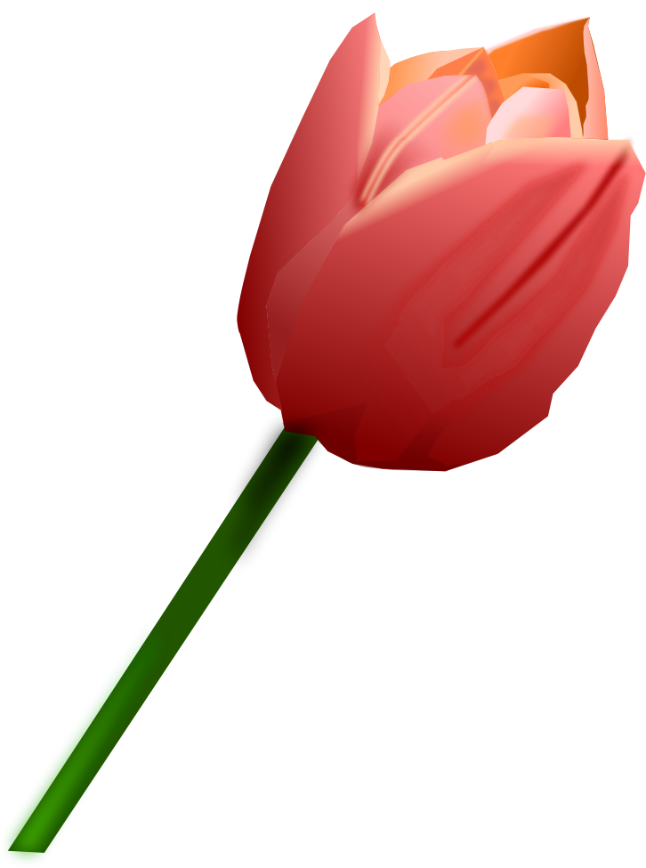 Tulip Clip Art Christmas Computer Icons Flower Red - Tulipan Rojo Png Transparent Png (558x749), Png Download