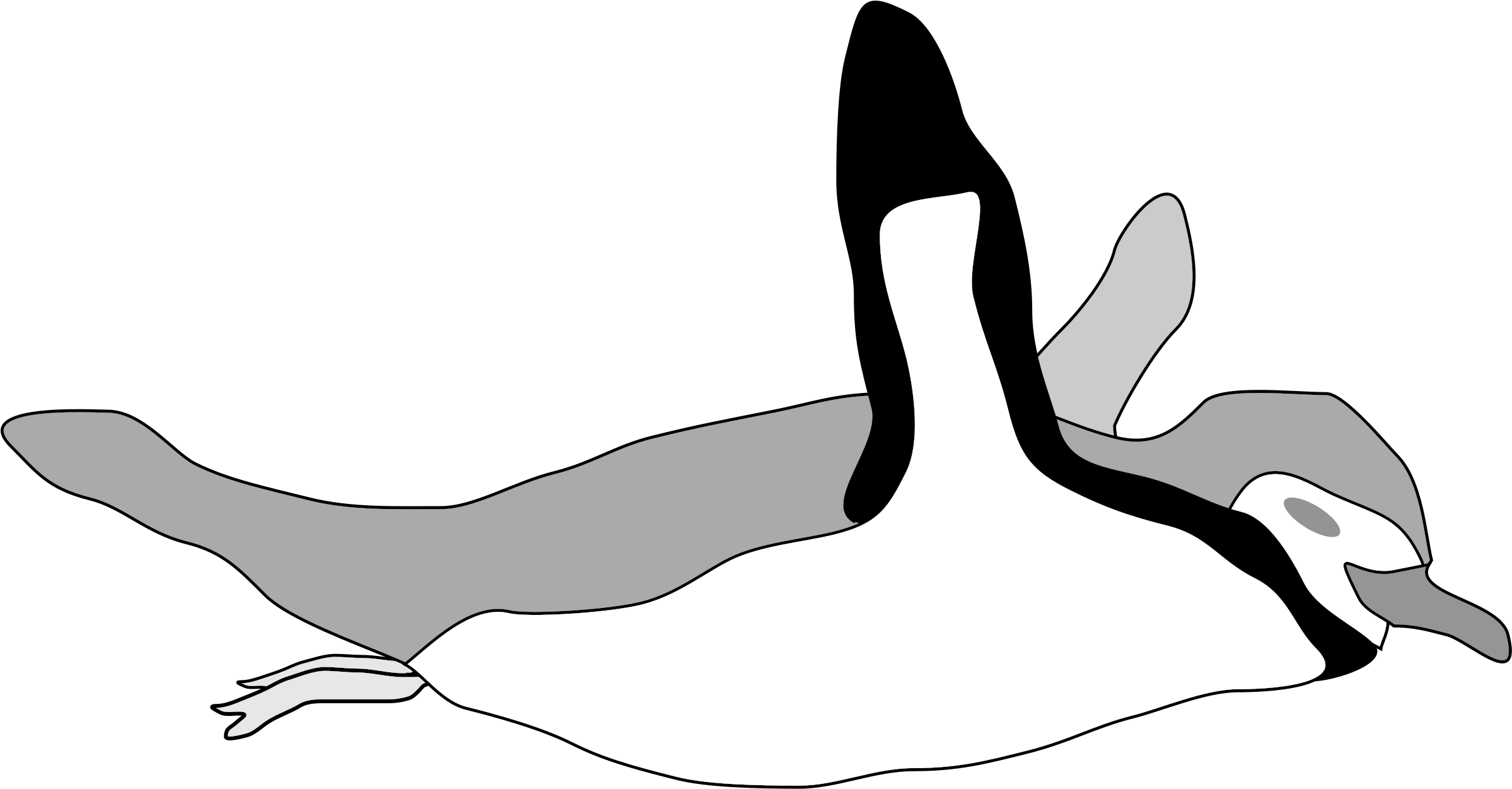 Download Emperor Penguin Swimming Drawing Computer Icons - Penguin