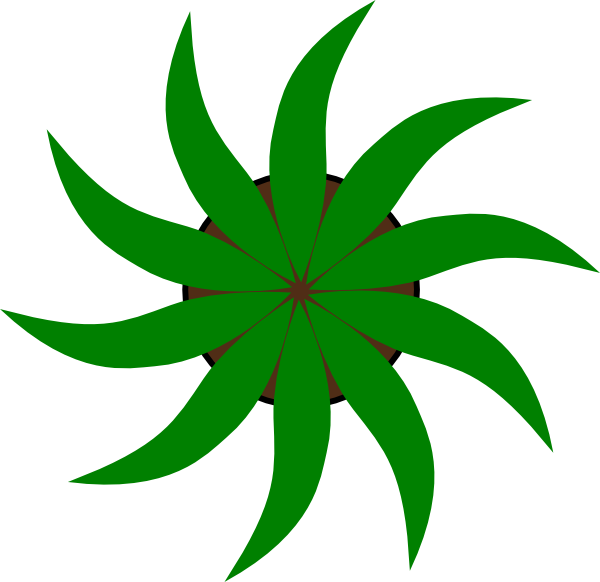 Green Star Shape Clip Art - Invasive Species Symbol - Png Download (600x582), Png Download