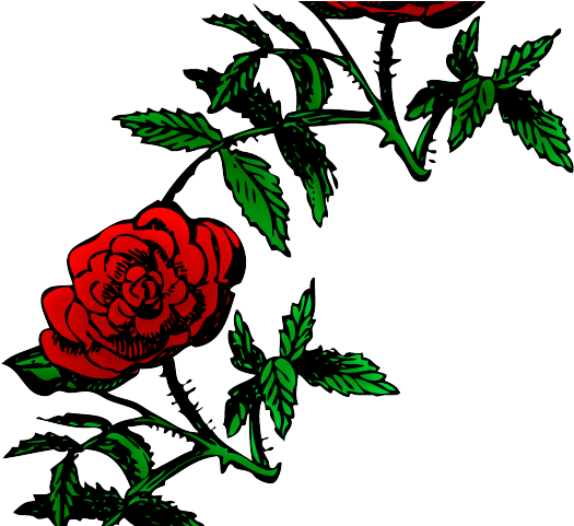 Free On Dumielauxepices Net - Roses Png Clipart (640x480), Png Download