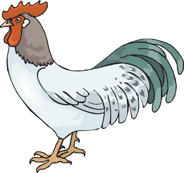 Cartoon Rooster Clipart Kid - Rooster Clipart - Png Download (600x565), Png Download