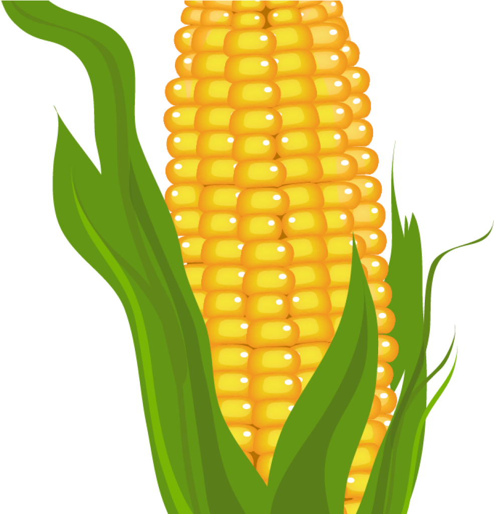 Corn Clipart Clip Art Stock - Corn Clipart Free - Png Download (1024x1024), Png Download