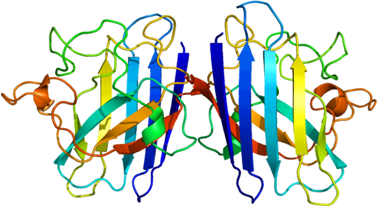 Database Clipart Sporadic - Protein Composed Of More Than One Polypeptide Chain - Png Download (800x459), Png Download