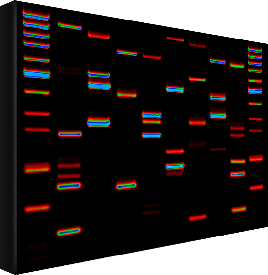 Dna Artwork By Dynamic Dna Labs - Parallel Clipart (594x592), Png Download
