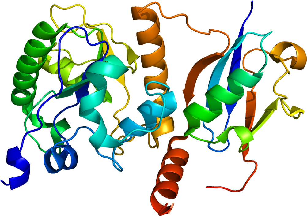 Thymine-dna Glycosylase Clipart (1051x755), Png Download