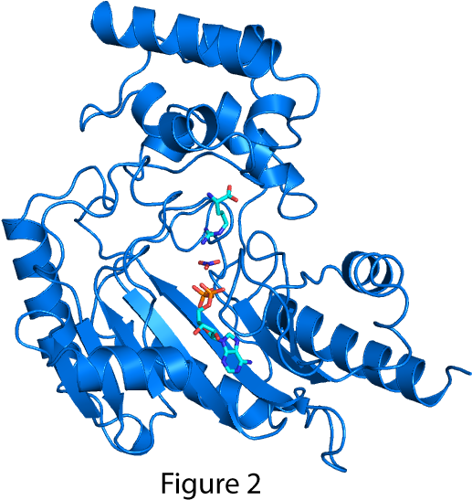 Graphic Design Clipart (600x600), Png Download