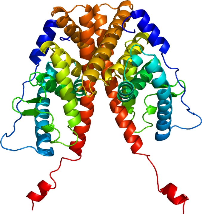 Post-treatment Mutations In Estrogen Receptor Gene - Estrogen Receptor Alpha Structure Clipart (726x767), Png Download