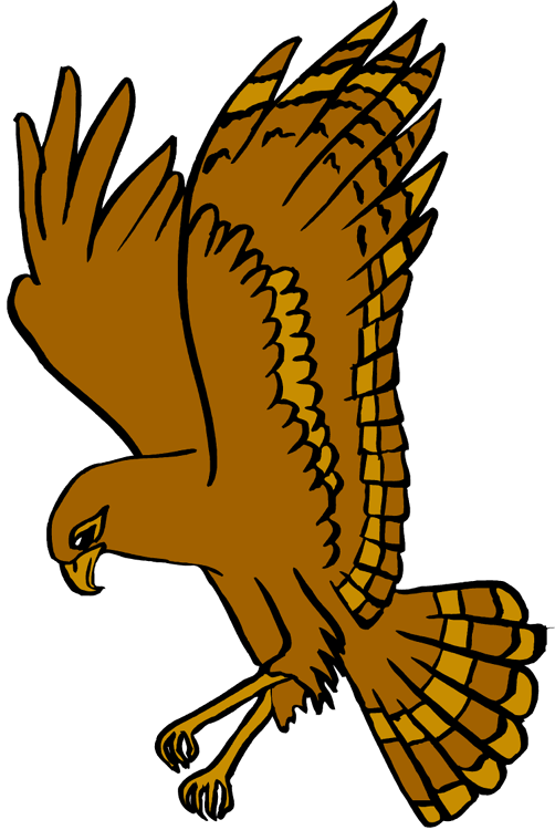 Hawk Clipart West Delaware - Delaware Township - Png Download (502x750), Png Download