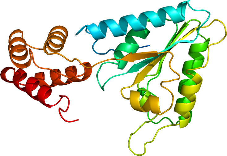 Nsf Proteins Clipart (783x554), Png Download
