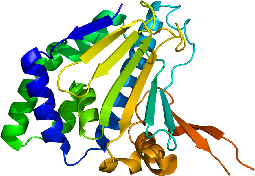 Protein Hsp90b1 Pdb 1qy5 - Hsp90b1 Clipart (930x659), Png Download