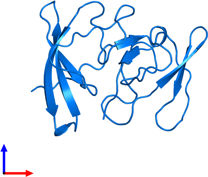 <div Class='caption-body'>pdb Entry 1rl2 Contains 1 - Illustration Clipart (800x800), Png Download