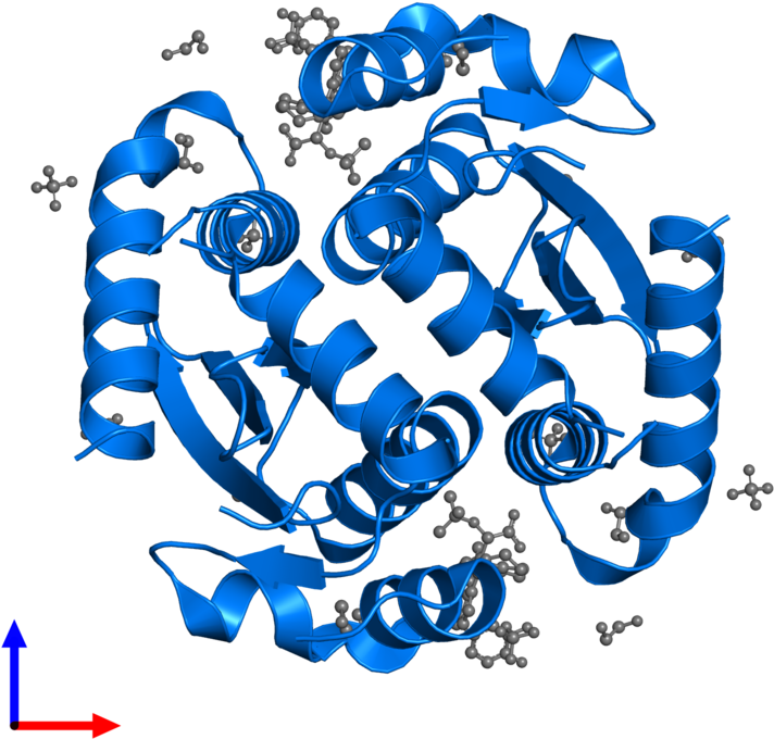 <div Class='caption-body'>pdb Entry 5hrp Contains 2 - Graphic Design Clipart (800x800), Png Download