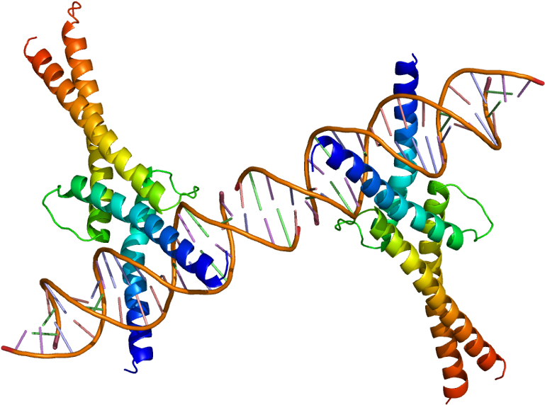 Housekeeping Gene Clipart (818x621), Png Download