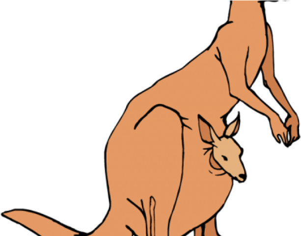 Cool Clipart Kangaroo - Kangaroo Clip Art Png Transparent Png (640x480), Png Download