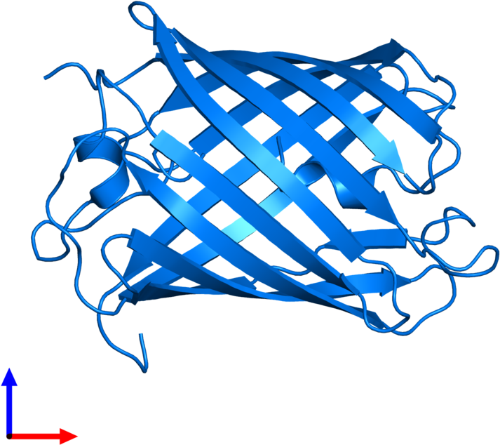 <div Class='caption-body'>pdb Entry 2gx0 Contains 1 Clipart (800x800), Png Download