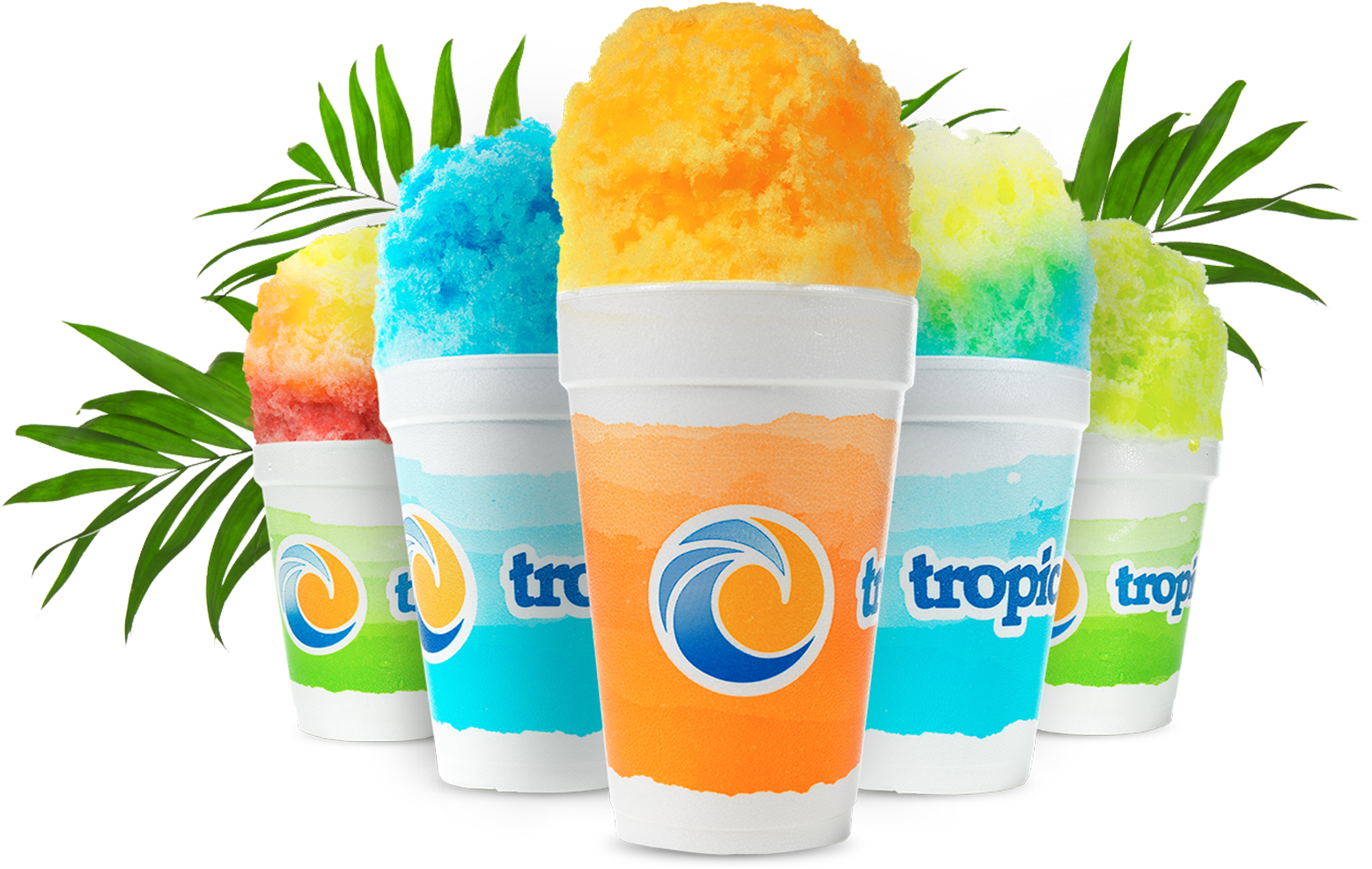 Tropical Sno Clipart (1700x1066), Png Download
