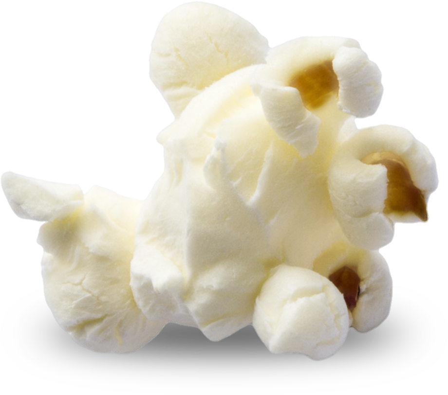 Png Image Information - Popcorn Png Clipart (1000x1000), Png Download