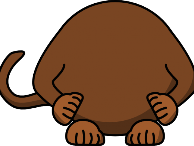 Monkey Clipart Body - Cartoon Monkey Shower Curtain - Png Download (640x480), Png Download