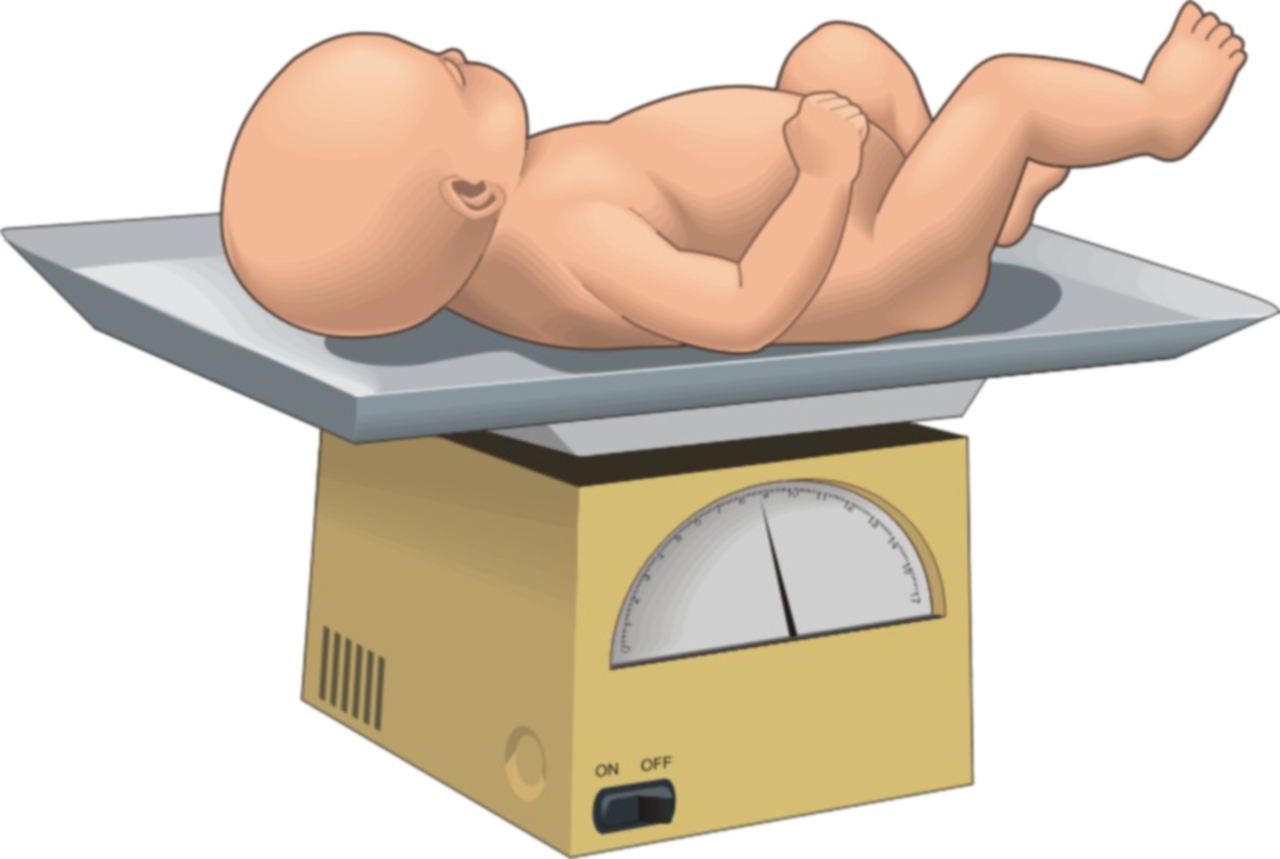 Baby Scale Clipart Baby, Baby Clip Art, Free Graphics, - Examen Fisico Del Recien Nacido - Png Download (1280x859), Png Download
