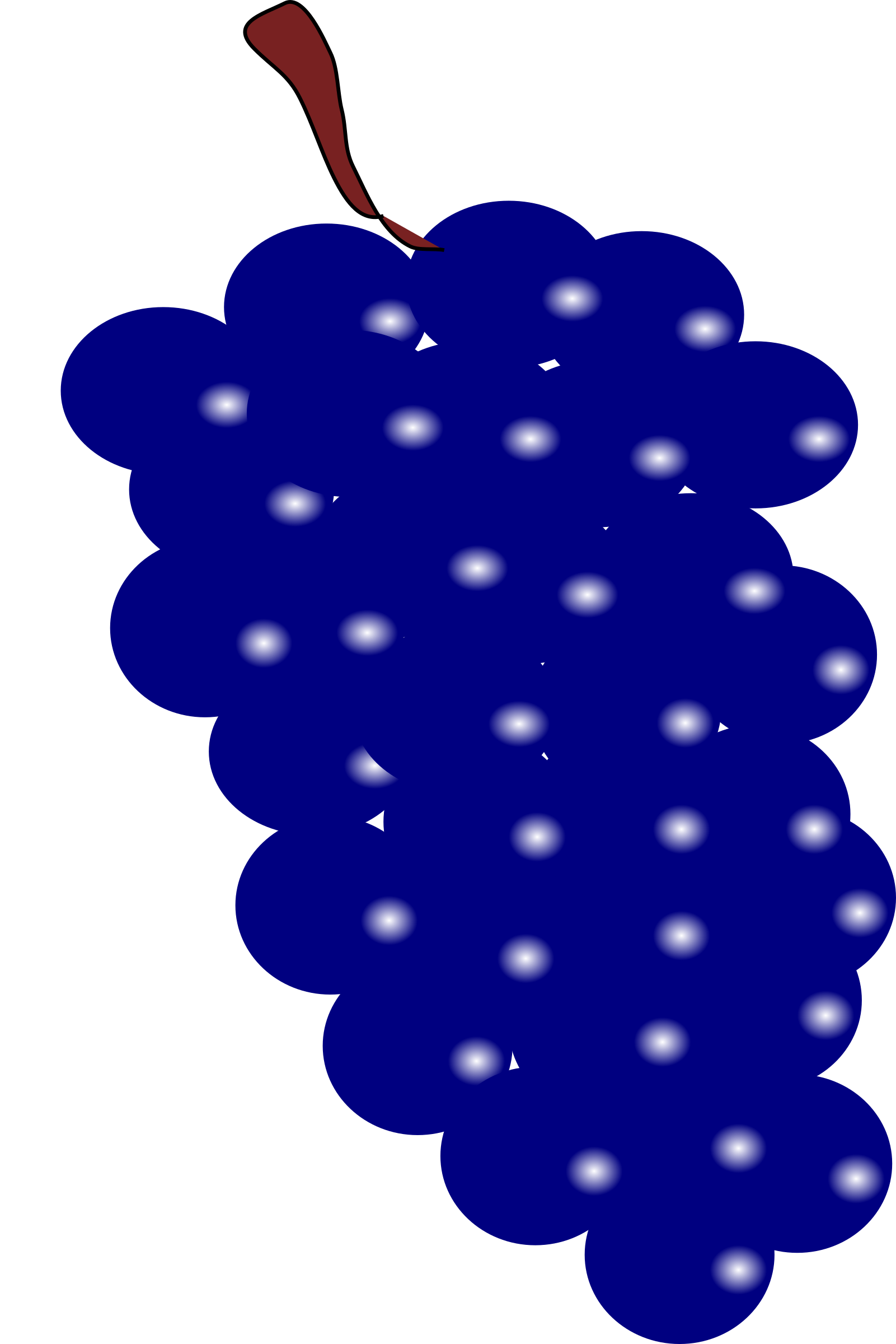 All Photo Png Clipart - Small Grape Clip Art Transparent Png (500x750), Png Download