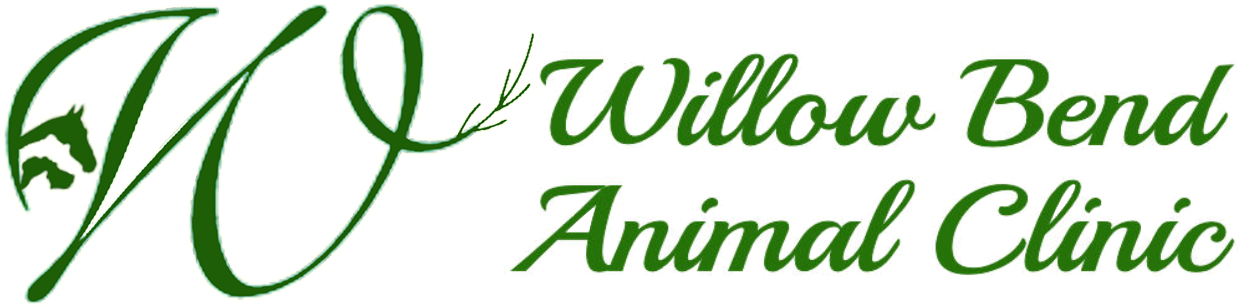 Willow Bend Animal Clinic Logo - Willow Bend Animal Clinic Clipart (1292x350), Png Download